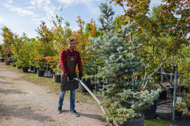 How Our Tree Care Process Works  in  Newfoundland, NJ